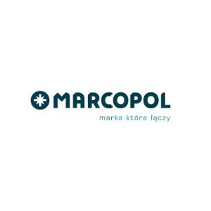 Wkręty dociskowe z gniazdem sześciokątnym - Producent elementów złącznych - Marcopol